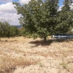 https://realtur.com.tr/lands-for-sale-in-golpazari-bilecik-2021/