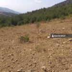 https://realtur.com.tr/land/fruit-land-for-sale-bilecik-golpazari-olive-walnut-trees-eng/