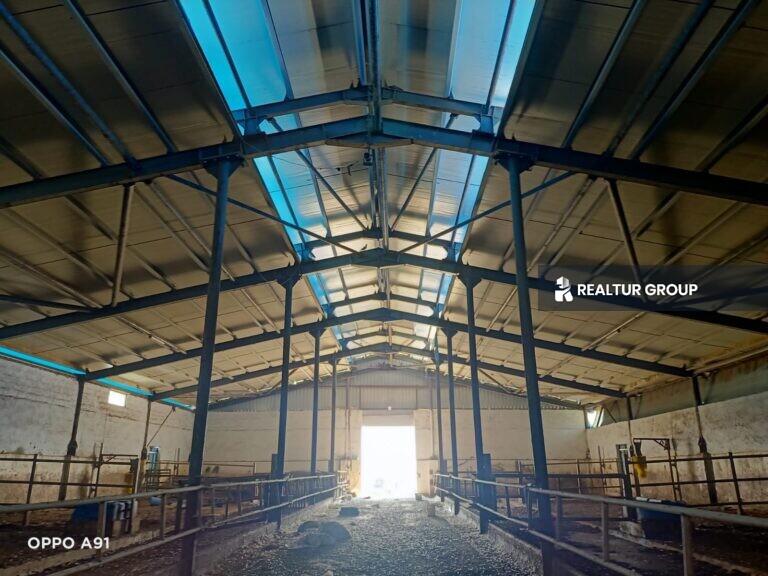 مزرعة ماشية مع رخصة بناء زراعية للبيع في تركيا في محافظة بيلجيك منطقة سوغوت