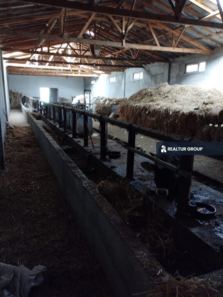مزرعة ماشية بجانب الطريق السريع للبيع في تركيا في محافظة بيلجيك في منطقة بازاريه