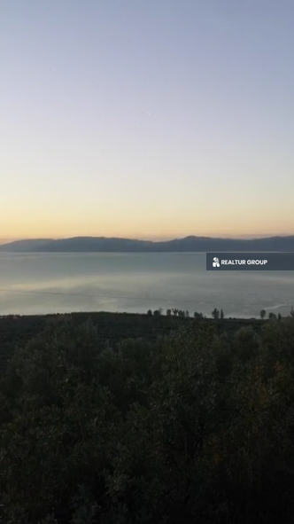 بستان زيتون مع إطلالة طبيعية خلابة وعلى بحيرة إزنيك للبيع في تركيا في بورصة إزنيك