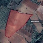 https://realtur.com.tr/land/agricultural-land-for-sale-bursa-karacabey-farming/