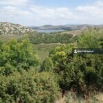 https://realtur.com.tr/land/fruit-land-for-sale-located-in-kutahya-merkez/