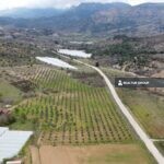 https://realtur.com.tr/land/invest-in-olive-grove-45-decares-land-sale-bilecik-inhisar-eng/