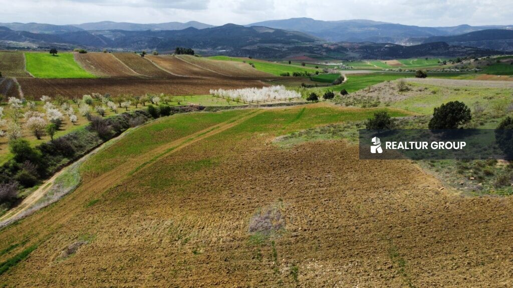 Agricultural Land for Sale in Bilecik, Merkez, Yenikoy with