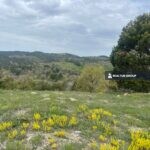 https://realtur.com.tr/land/expansive-land-for-sale-in-bilecik-golpazari-perfect-for-walnut-cultivating/