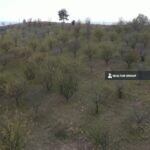 https://realtur.com.tr/land/lush-fruit-land-sale-bilecik-yenipazar-11459m2-mature-trees-ar/