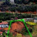https://realtur.com.tr/land/exquisite-land-for-sale-in-yalova-armutlu-with-enchanting-forest-view/