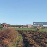 https://realtur.com.tr/land/premium-agricultural-land-for-sale-near-sakarya-village-in-adapazari/