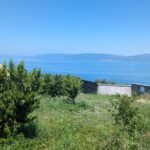 https://realtur.com.tr/land/stunning-nectarine-garden-for-sale-with-serene-lake-view-in-bursa-iznik-ar/