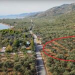 https://realtur.com.tr/land/seaside-olive-grove-for-sale-in-canakkale-ayvacik/