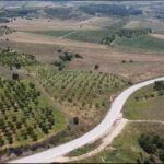 https://realtur.com.tr/land/invest-in-lush-walnut-land-for-sale-in-bilecik-merkez-a-lucrative-opportunity-awaits/