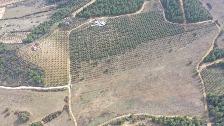 Terrain agricole de premier ordre à vendre avec maison et vue sur la nature à Bilecik, Osmaneli